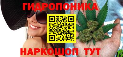 apvp Аргун