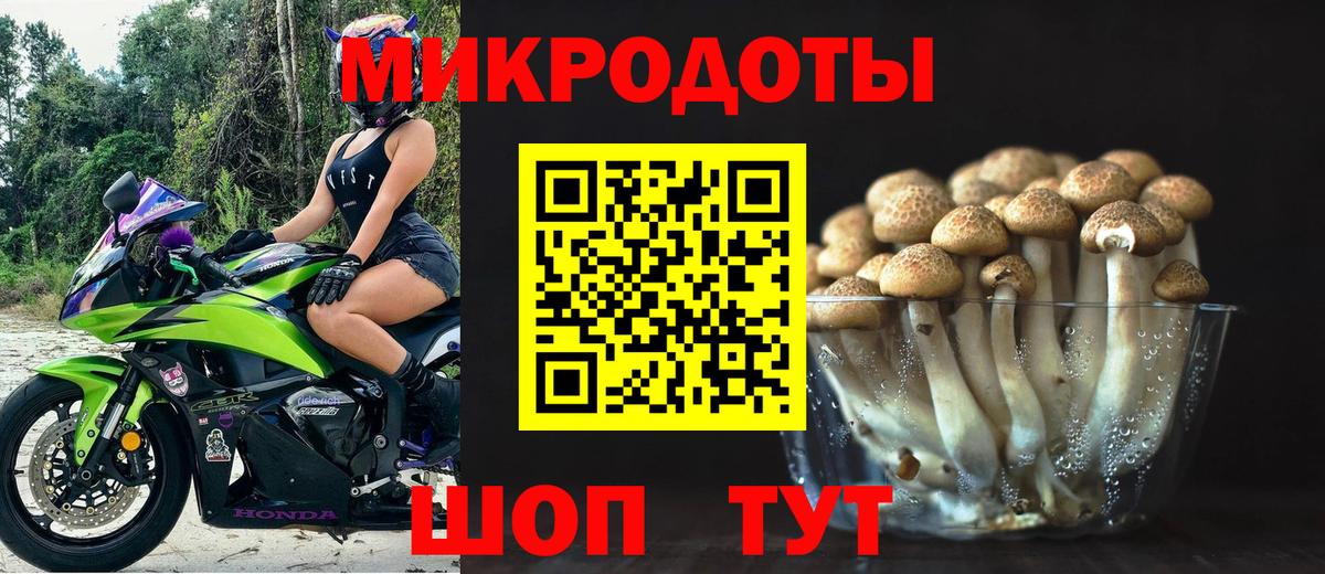 Псилоцибиновые грибы MAGIC MUSHROOMS Благодарный