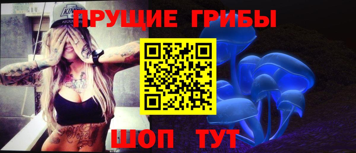 Псилоцибиновые грибы GOLDEN TEACHER  Вход с VPN  закладки  Галлюциногенные грибы Cubensis  Благодарный 